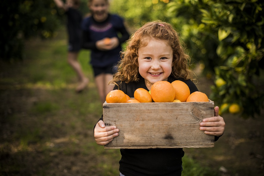 Can oranges really cure the common cold?