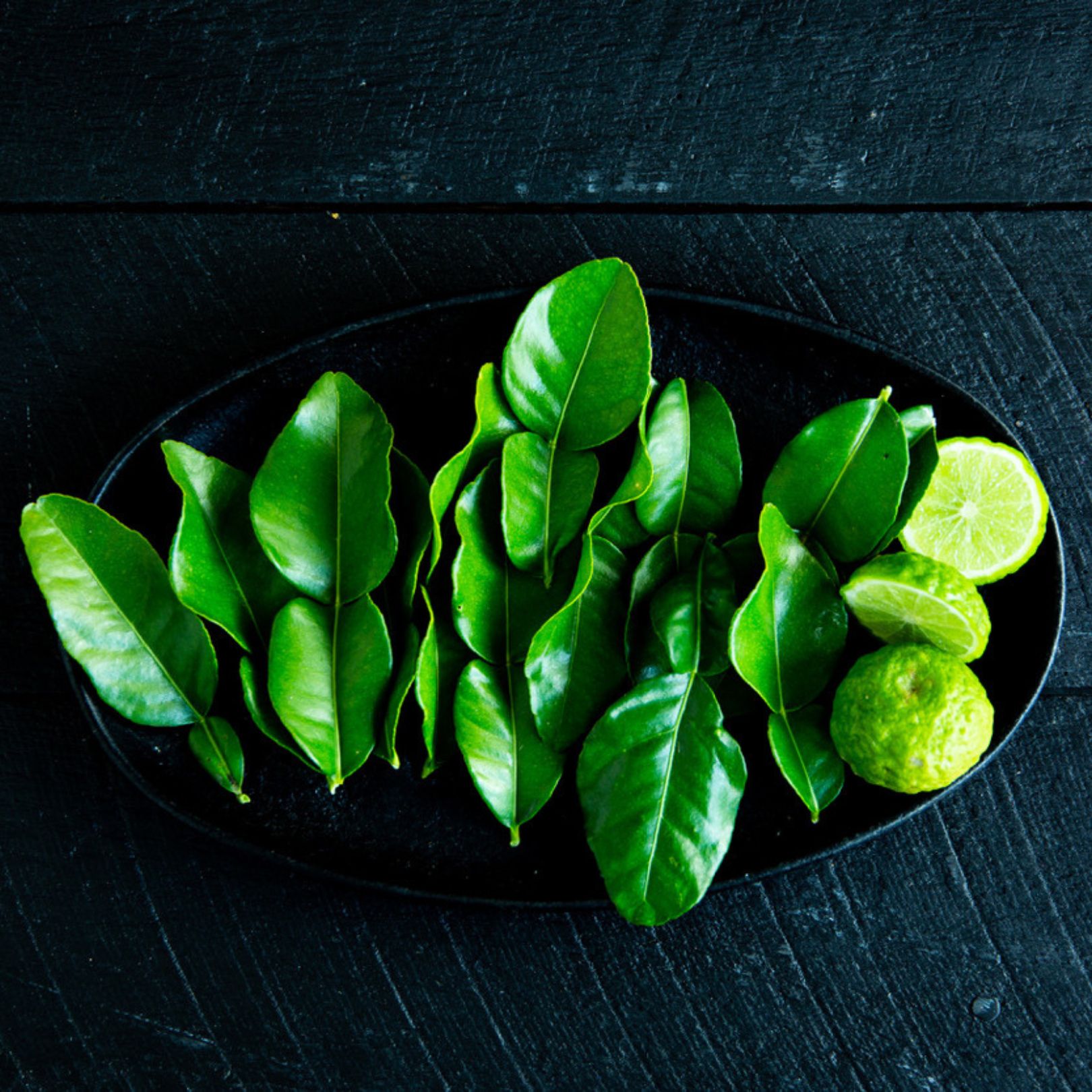 Buy Makrut Lime Leaves Online NZ - Twisted Citrus